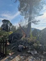 elagage-abattage-darbres-dangereux-5